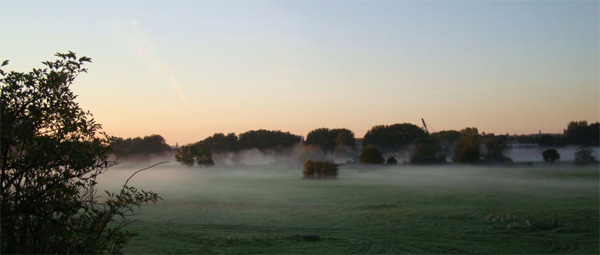schon wieder Morgennebel